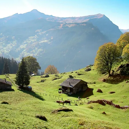 Woka 1 By Interhome * Grindelwald