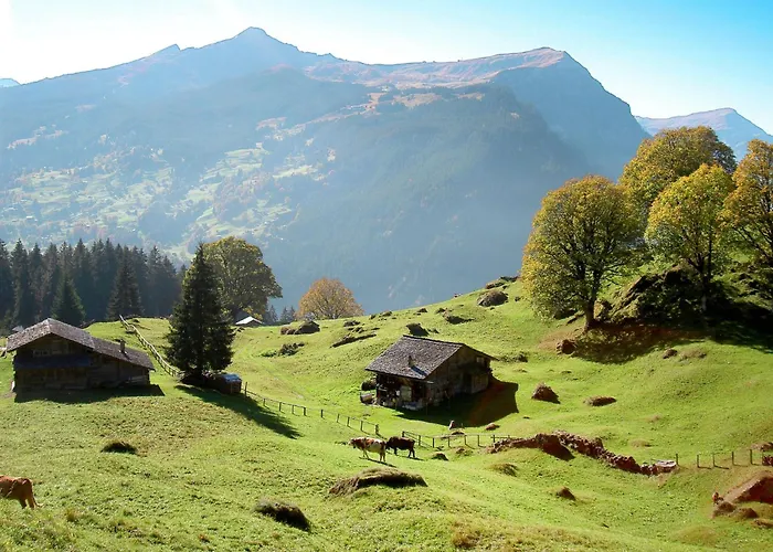 Woka 1 By Interhome * גרינדלוולד